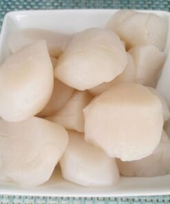 buy giant sea scallops online