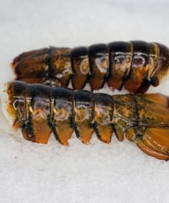 buy x-large lobster tails online