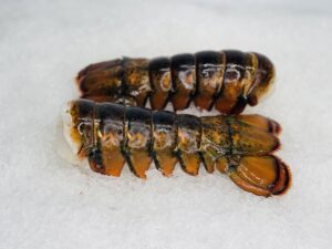 buy x-large lobster tails online