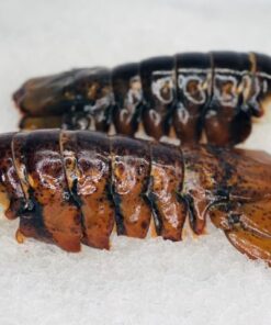 buy x-jumbo lobster tails online