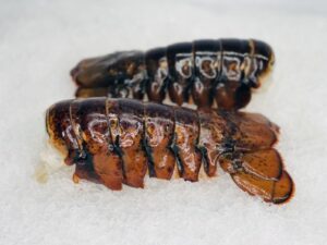 buy x-jumbo lobster tails online