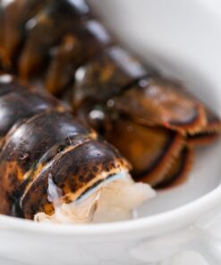 buy big boy lobster tails online