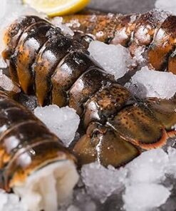 buy big boy lobster tails online