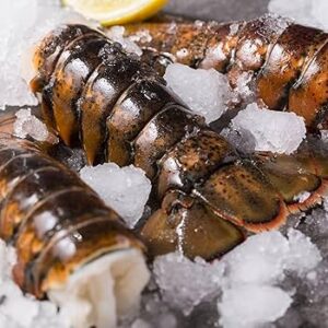 buy big boy lobster tails online