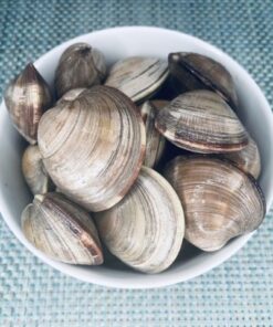 buy middle neck clams online