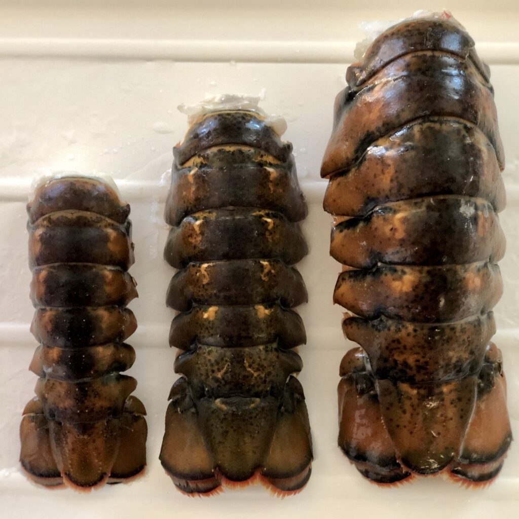 Colossal Lobster Tails - 2 Pack