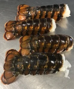 buy jumbo lobster tails online