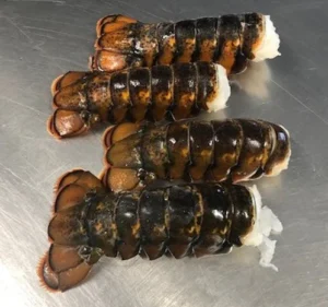 buy jumbo lobster tails online