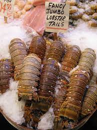 buy jumbo lobster tails online