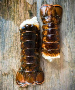 buy x-large lobster tails online
