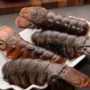 buy gigantic lobster tails online
