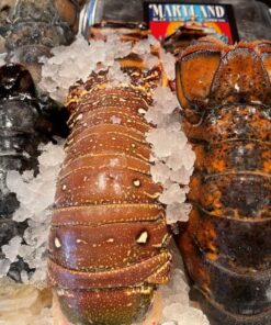 buy medium lobster tails 2 pack online