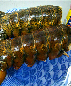 buy large lobster tails online