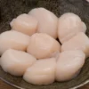buy large sea scallops online