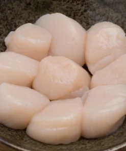 buy large sea scallops online