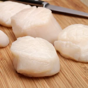 buy giant sea scallops online