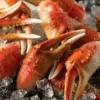 buy snow crab cocktail claws online