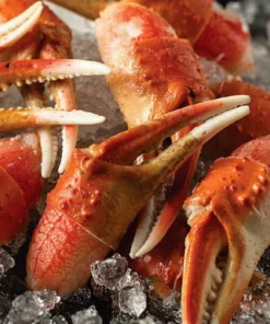 buy snow crab cocktail claws online