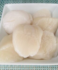 buy giant sea scallops online