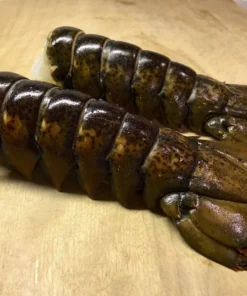 buy x-large lobster tails online