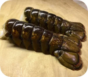buy x-large lobster tails online