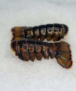 buy standard lobster tails online