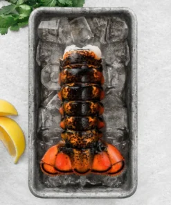 buy x-jumbo lobster tails online