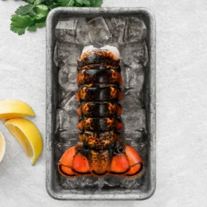 buy x-jumbo lobster tails online