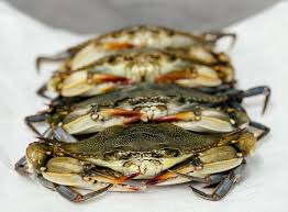 Frozen Soft Crabs - Jumbos
