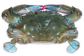 Frozen Soft Crabs - Whales