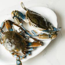 Jumbo Male Live Blue Crabs