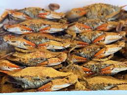 Standard Female Live Hard Crabs