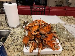 Medium Female Live Hard Crabs