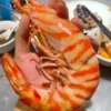 buy large shrimp online
