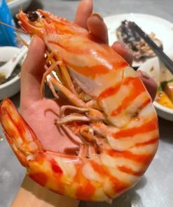 buy large shrimp online