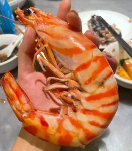 buy large shrimp online