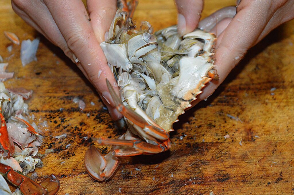 best blue crab meat recipes