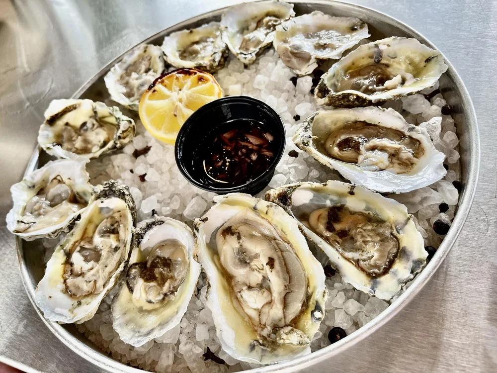 Chesapeake Bay oyster season