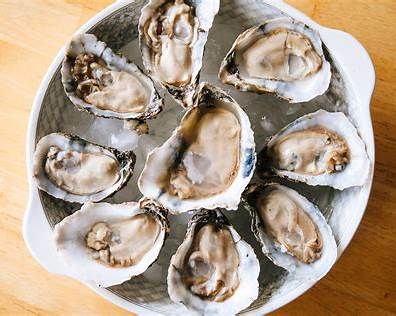 Chesapeake Bay oyster season