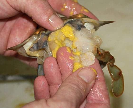how to cook soft shell crab