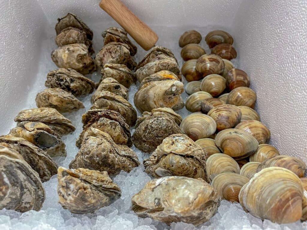 best clams for pasta