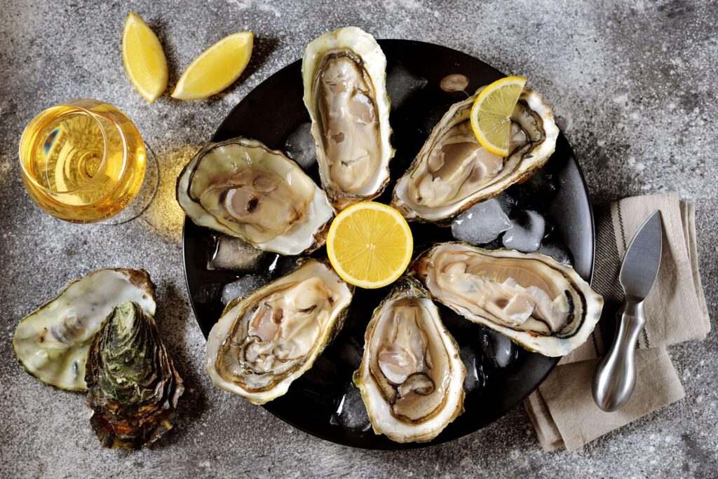 oyster guide for beginners