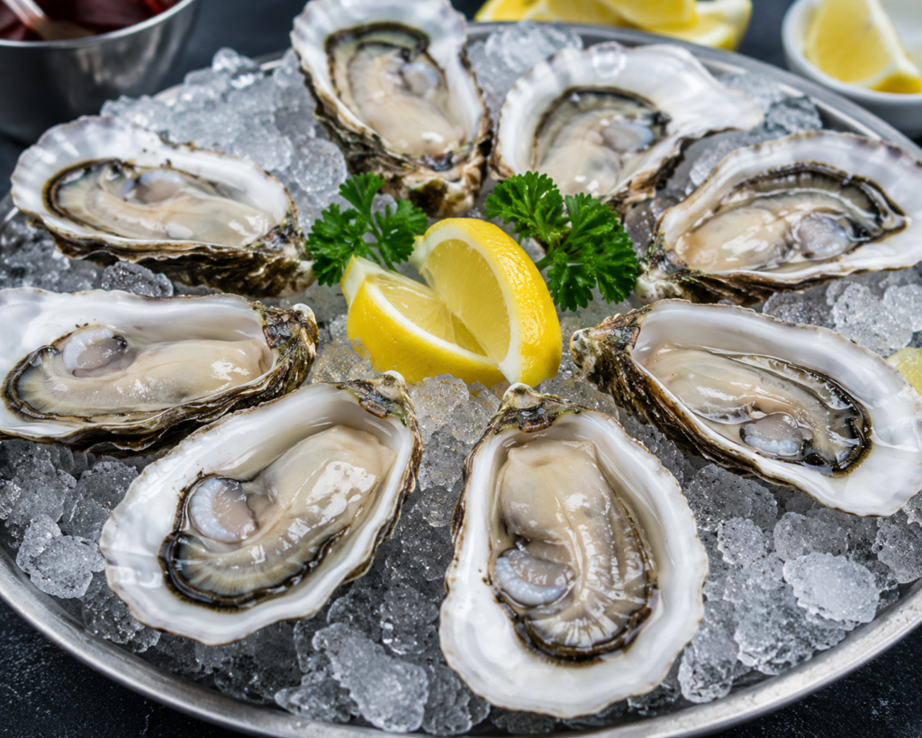 oyster guide for beginners