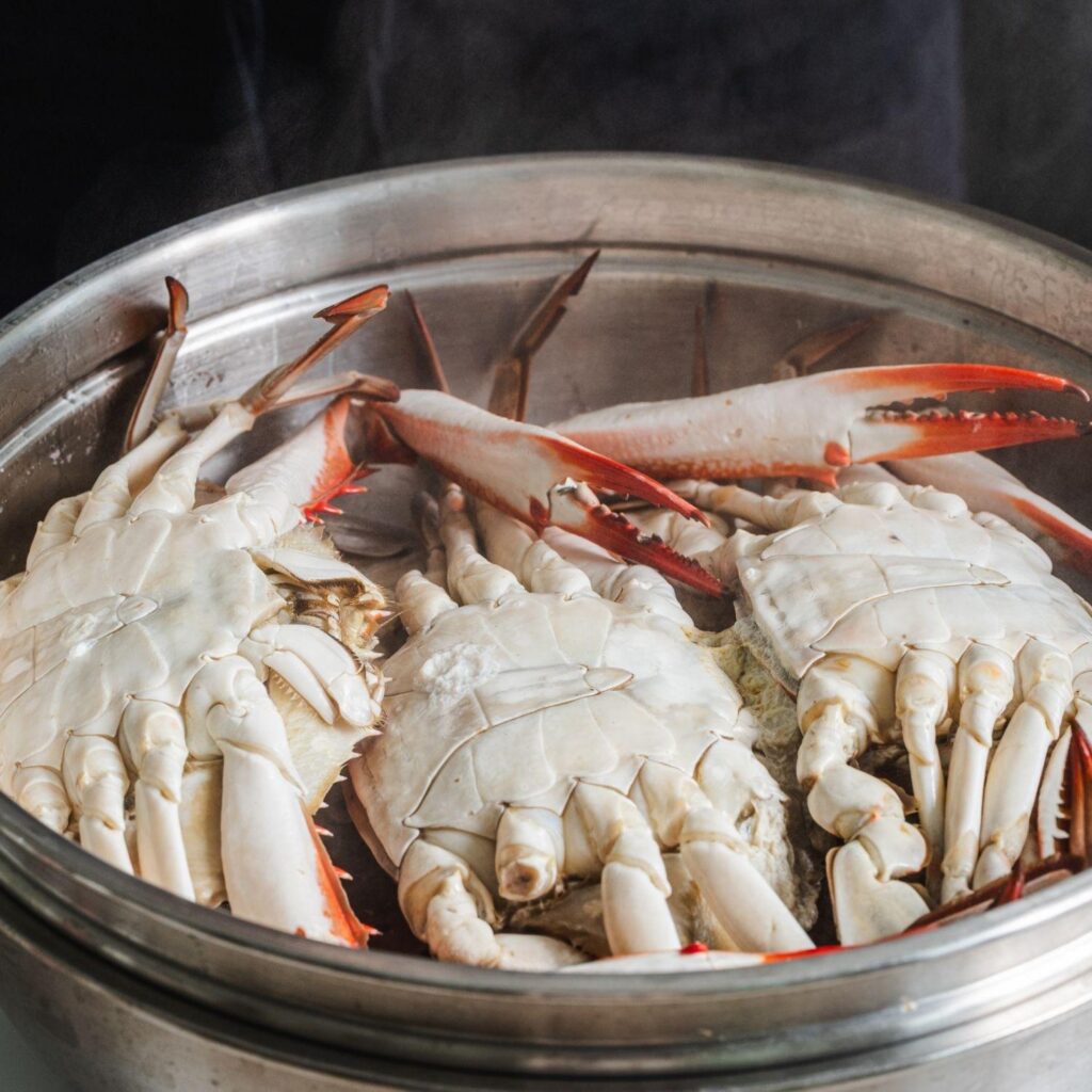 live hard crab prices