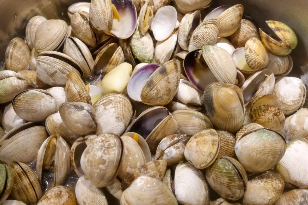 best clams for pasta