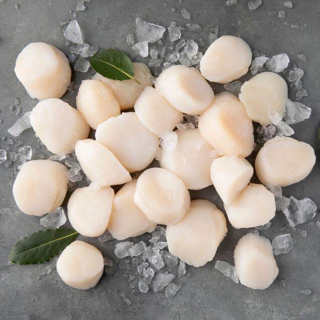 best sea scallops to buy online