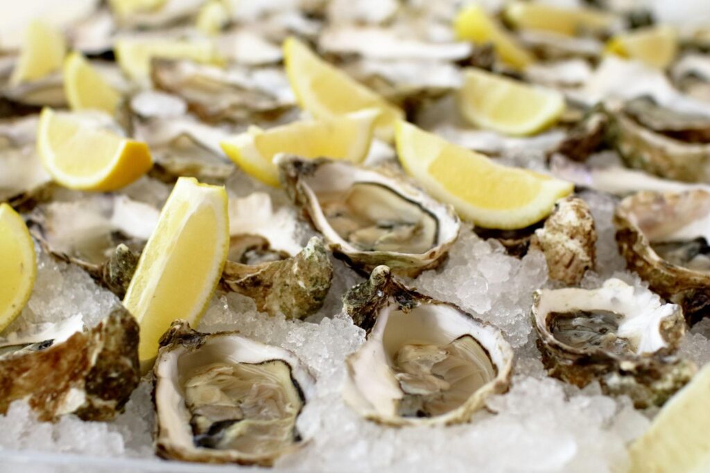 oyster guide for beginners