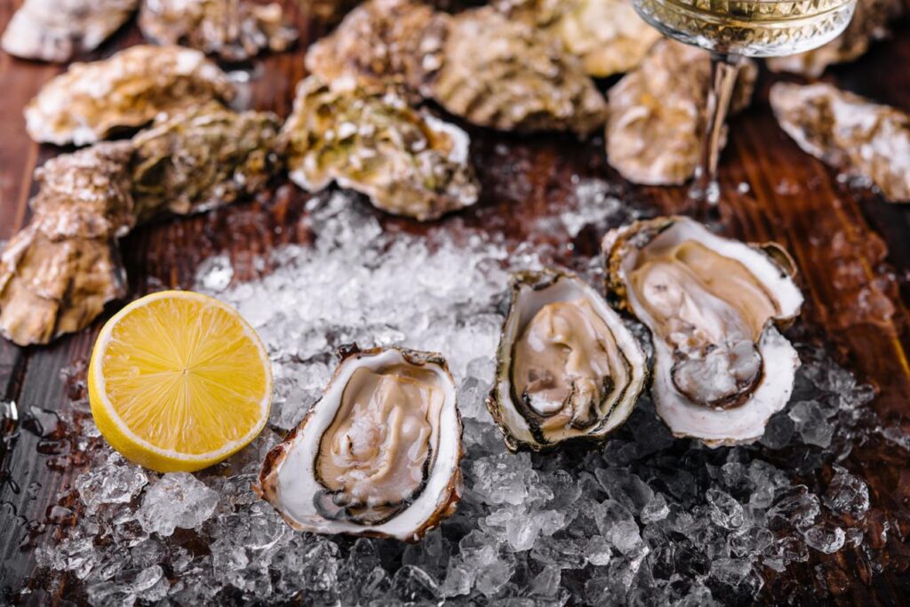 oyster guide for beginners