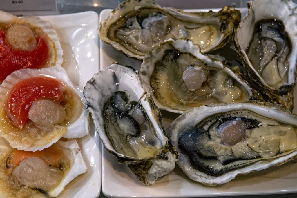 oyster guide for beginners