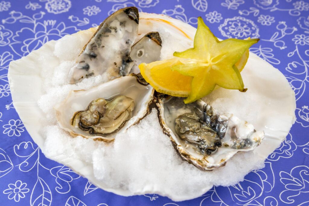 oyster guide for beginners